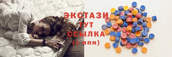 сатива Няндома