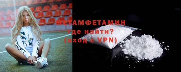 сатива Няндома