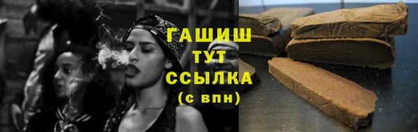 сатива Няндома
