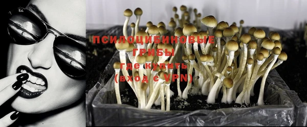 гидропоника Краснослободск