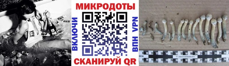 Галлюциногенные грибы мухоморы  Любим 